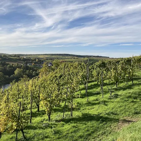 In Ediger Mosel *