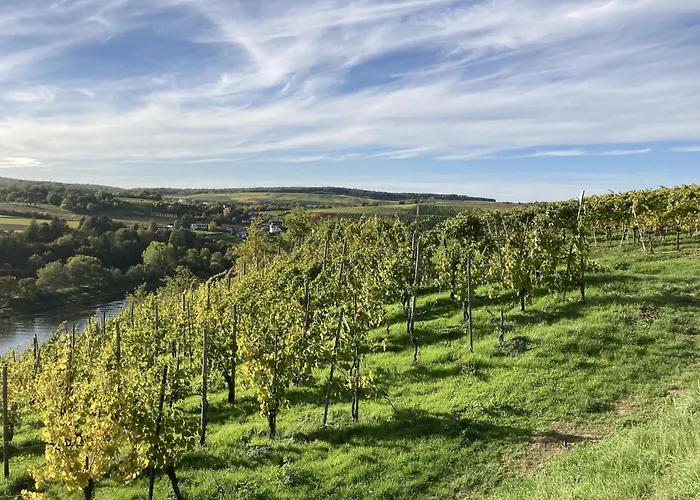 Ferienwohnung In Ediger Mosel *