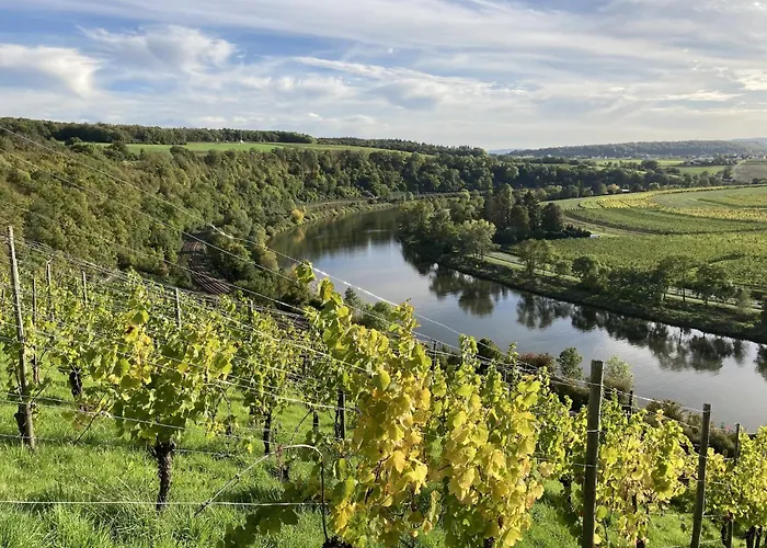 公寓 Ferienwohnung In Ediger Mosel 圣阿尔德贡德